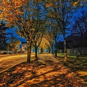 Meet your Posher, Pokuaa